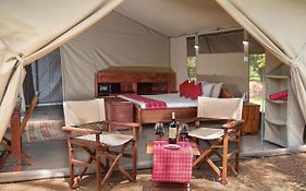 Hammerkop Migration Camp 3*