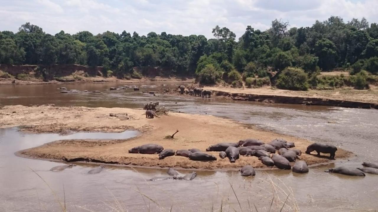 Hammerkop Migration Camp Maasai Mara Exterior photo