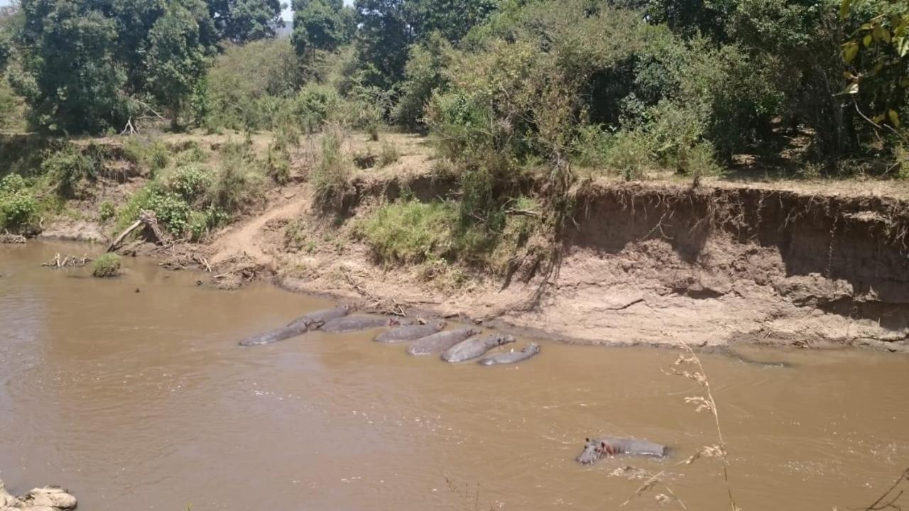 Hammerkop Migration Camp Maasai Mara Exterior photo